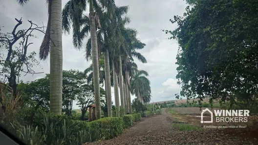 Fazenda/Sítio com 1 Quarto à venda, 2000m² no Jardim São Domingos, Maringá