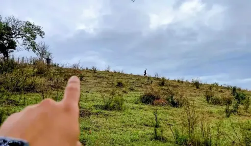 Lote/Terreno à venda, 1000m² no , Delfim Moreira