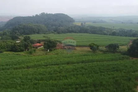 com 3 Quartos à venda, 163000m² no , Cajuru