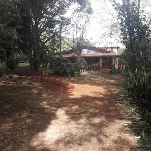 Fazenda/Sítio com 5 Quartos para alugar, 550m² no Área Rural de Limeira, Limeira