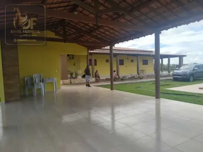 Fazenda/Sítio com 3 Quartos à venda, 35000m² no , Afonso Bezerra