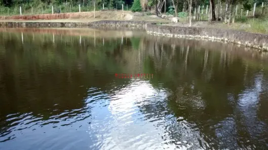 Fazenda/Sítio com 6 Quartos à venda, 2076m² no Parque Fernão Dias, Atibaia