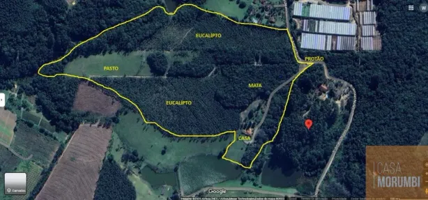 Fazenda/Sítio com 5 Quartos à venda, 242000m² no PIEDADE, Piedade