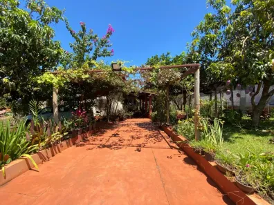 Fazenda/Sítio com 2 Quartos à venda, 120m² no Bairro Limoeiro, Londrina