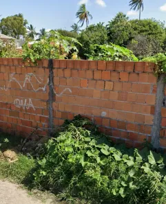 Casa com 3 Quartos à venda, 116m² no Centro, Tutóia