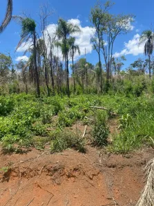 Lote/Terreno à venda, 600m² no Recanto dos Maias, Piracaia