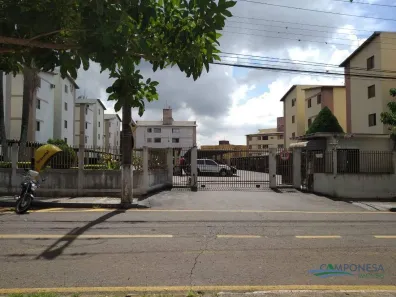 Apartamento com 3 Quartos à venda, 50m² no Parque Jamaica, Londrina