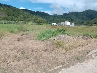 Lote/Terreno à venda, 53040m² no Aimoré, Guabiruba