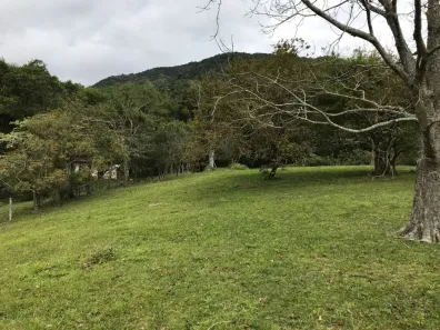 Lote/Terreno à venda, 11500m² no Vargem Grande, Florianópolis