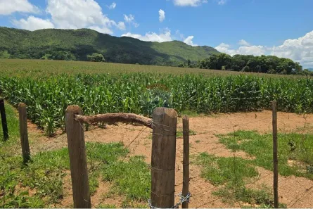 Fazenda/Sítio com 1 Quarto à venda, 450000m² no Delfinópolis, Delfinópolis