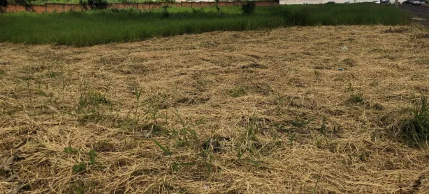 à venda, 6800m² no Centro, São José do Rio Preto