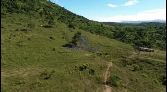 Fazenda/Sítio à venda, 560m² no , Pau Brasil