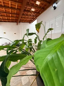 Casa com 2 Quartos à venda, 76m² no , Mongaguá
