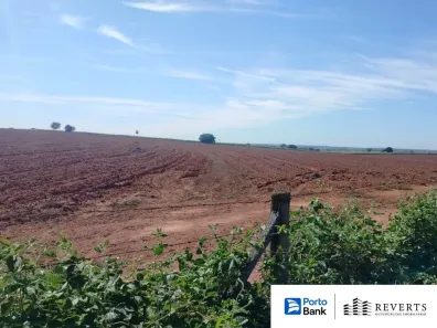 Fazenda/Sítio à venda, 60759m² no Jardim Primavera, Arealva