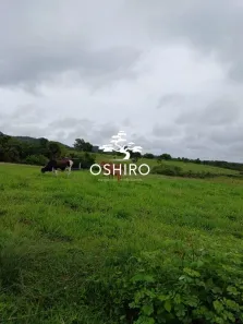 Fazenda/Sítio à venda, 150m² no , Montes Claros de Goiás