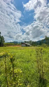 Fazenda/Sítio com 2 Quartos à venda, 4700m² no , Porto Belo