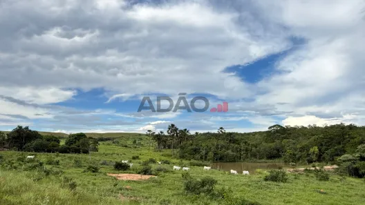 Fazenda/Sítio à venda, 290000m² no , Padre Bernardo