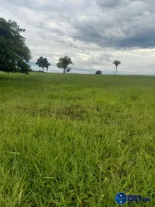 Lote/Terreno à venda, 197m² no Setor Central, Novo Brasil