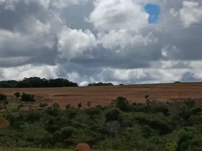 Fazenda/Sítio com 5 Quartos à venda, 413m² no , Caiapônia