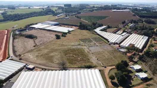 Fazenda/Sítio à venda, 10m² no Área Rural de Holambra, Holambra