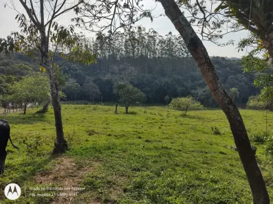 Fazenda/Sítio com 3 Quartos à venda, 12000m² no Macucos, Gaspar