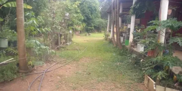 Fazenda/Sítio com 2 Quartos à venda, 100m² no Ponte Alta Norte, Brasília