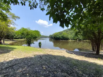 Fazenda/Sítio com 7 Quartos à venda, 390000m² no Área Rural de Manacapuru, Manacapuru