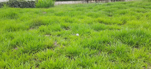 Lote/Terreno à venda, 694m² no Condomínio Residencial Campos do Conde, Bragança Paulista