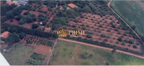 Lote/Terreno à venda, 45000m² no Distrito Industrial Benedito Storani, Vinhedo
