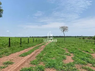 Fazenda/Sítio à venda, 2565200m² no Área Rural de Cacoal, Cacoal