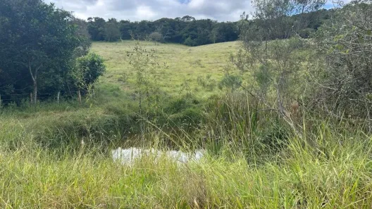 Fazenda/Sítio à venda, 188600m² no , Caxambu
