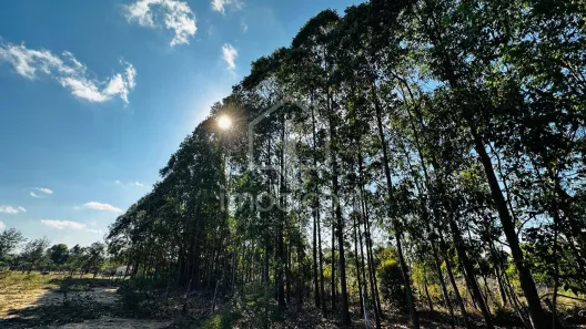 Lote/Terreno à venda, 1143m² no Primavera, Vitória da Conquista
