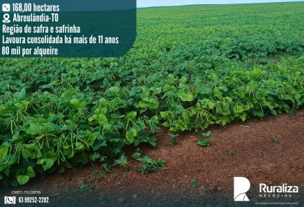 Fazenda/Sítio à venda, 168m² no , Abreulândia