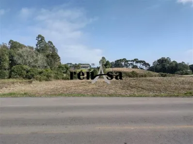 Lote/Terreno à venda, 9800m² no São Giácomo, Caxias do Sul