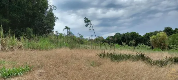 Lote/Terreno com 1 Quarto à venda, 3000m² no Nova Petrópolis, Nova Petrópolis