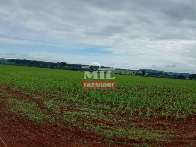 Fazenda/Sítio à venda, 500m² no Centro, Trindade