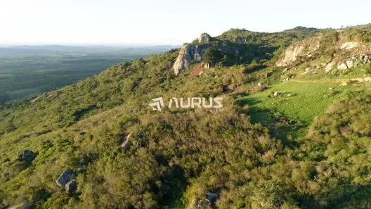 Lote/Terreno à venda, 11000m² no Loteamento Sao Jose, Bezerros