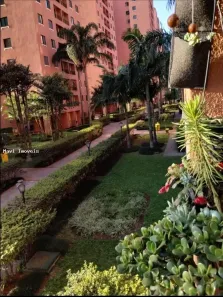 Apartamento com 3 Quartos à venda, 64m² no Vila do Castelo, São Paulo