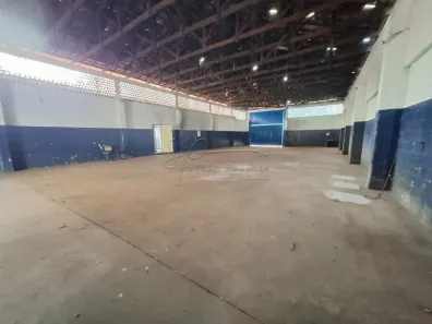 Galpão/Depósito/Armazém para alugar, 300m² no Independência, Ribeirão Preto