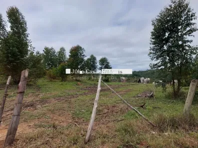 Fazenda/Sítio com 9 Quartos à venda, 1000m² no Lavras, Mairiporã