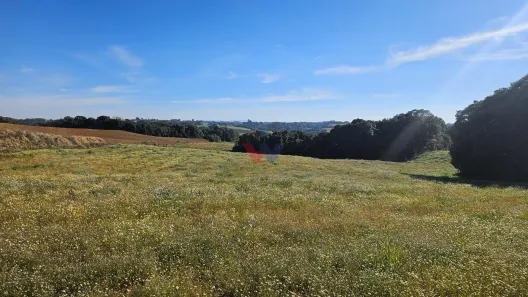 Fazenda/Sítio com 1 Quarto à venda, 48400m² no Centro, Campo Magro