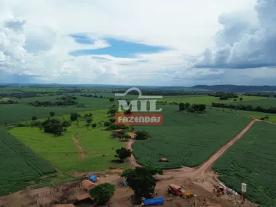 Fazenda/Sítio à venda, 500m² no , Pontalina