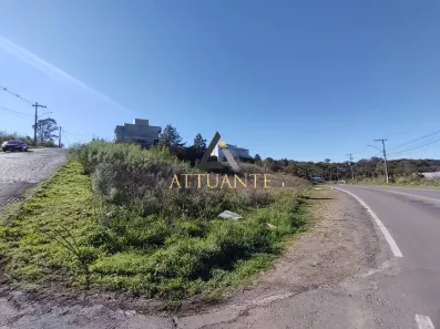 Lote/Terreno à venda, 741m² no Nossa Senhora das Graças, Caxias do Sul