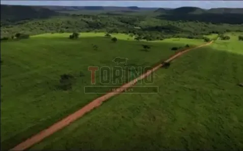 Fazenda/Sítio com 4 Quartos à venda, 1257m² no , São João da Ponte