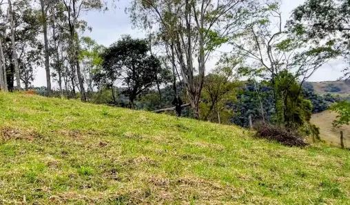 Lote/Terreno à venda, 2000m² no , Cambuí