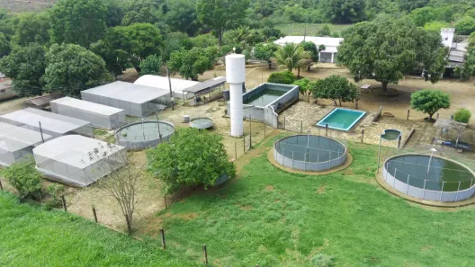 Fazenda/Sítio com 4 Quartos à venda, 70000m² no Mansões de Recreio Estrela Dalva VII-A, Novo Gama