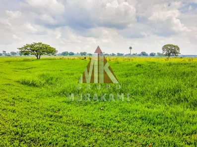 Fazenda/Sítio com 1 Quarto à venda, 606m² no , Rochedo