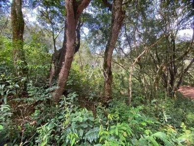 Lote/Terreno à venda, 4000m² no , Itatiaiuçu