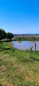 Fazenda/Sítio com 2 Quartos à venda, 96000m² no Guardinha, São Sebastião do Paraíso