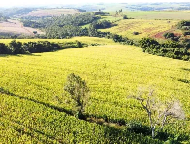 Fazenda/Sítio com 1 Quarto à venda, 91206m² no Jardim Alemanha, Londrina